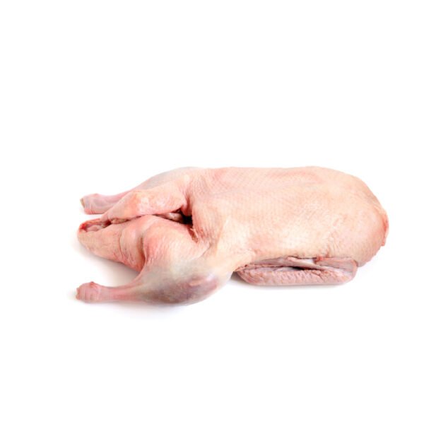 চিনা হাঁস (আস্ত)