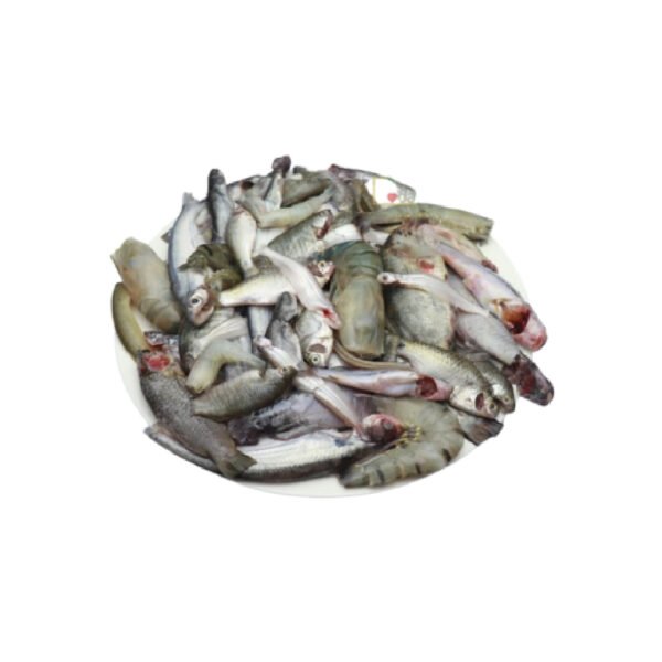 পাঁচমিশালি