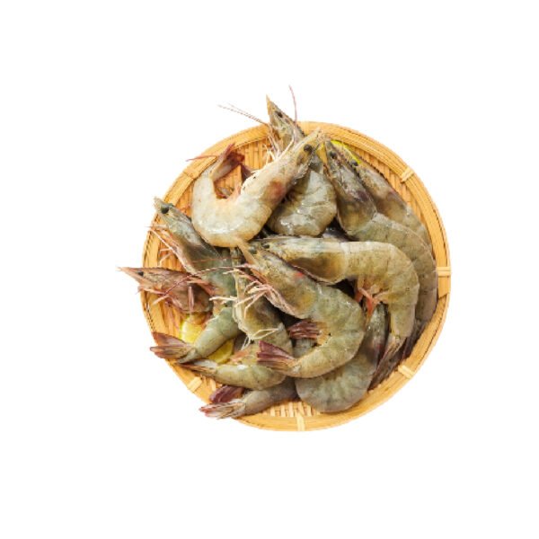 ছোট চিংড়ি