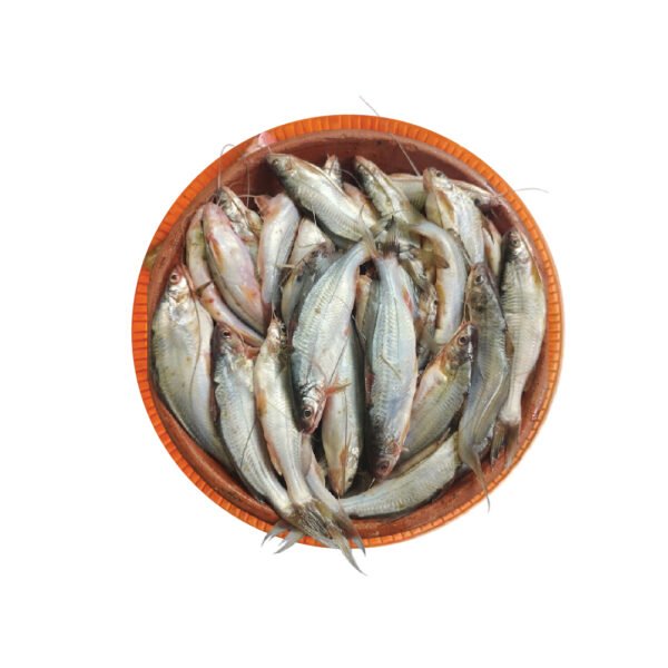 ট্যাংরা-গুলশা