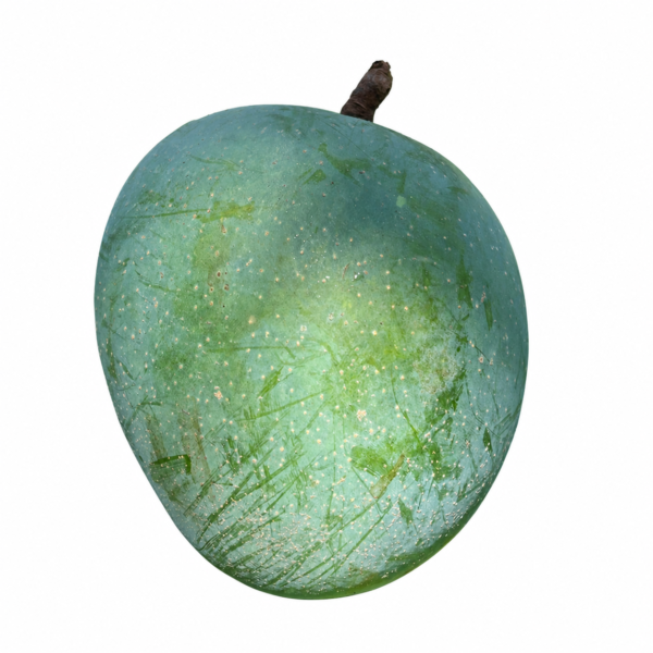 গোবিন্দভোগ আম